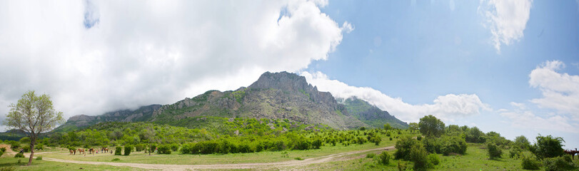Summer mountain landscape.