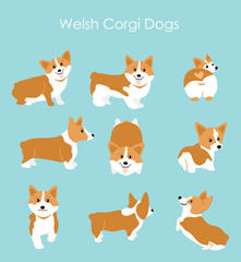 Vector illustration of cute and happy welsh corgi set in different poses. Funny corgi for decoration and design in flat cartoon style.