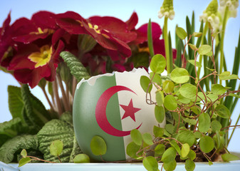 The flag of Algeria on an cracked egg in a floral scene.(series)