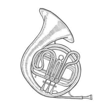 French Horn. Musical Instrument in Hand Drawn Style for Surface Design Fliers Prints Cards Banners. Vector Illustration