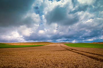 ciel d'orage sur les récoltes