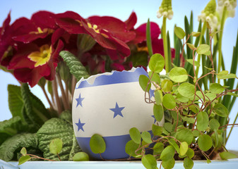 The flag of Honduras on an cracked egg in a floral scene.(series)