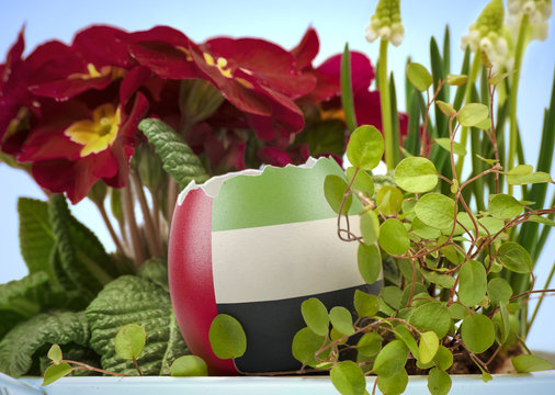 The flag of United Arab Emirates on an cracked egg in a floral scene.(series)
