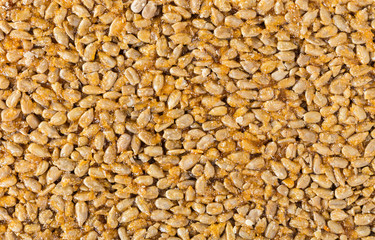 sunflower seeds in caramel close-up