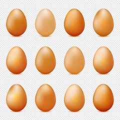 Vector set of realistic eggs on transparent background