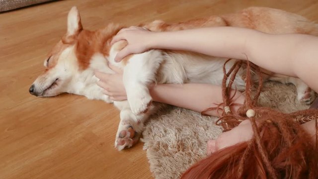 Young pretty woman with red dreadlocks having good time with corgi dog 