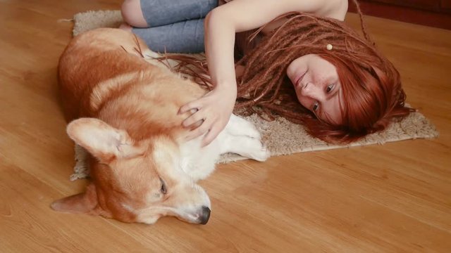 Young pretty woman with red dreadlocks having good time with corgi dog 
