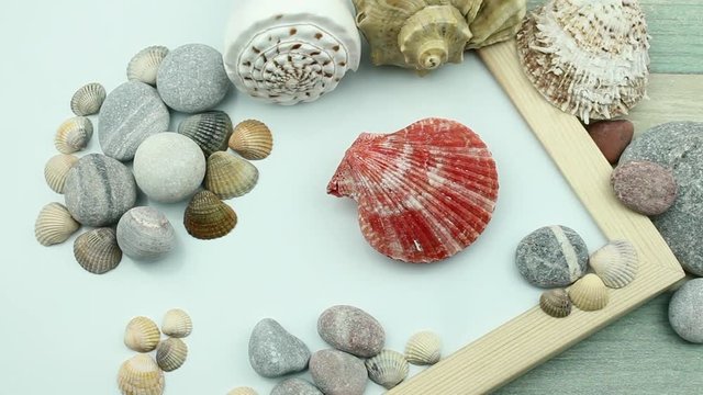 Red shell on the center