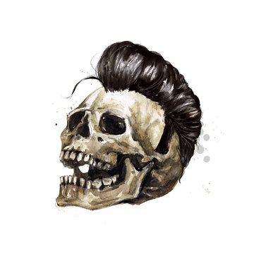 Human Skull - Male. Watercolor Illustration.