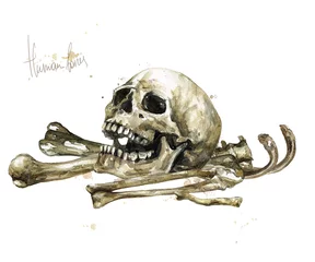 Fototapete Aquarell Abbildungen Human Bones. Watercolor Illustration.  © nataliahubbert