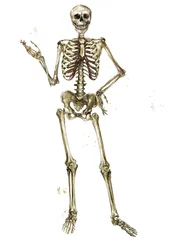 Kussenhoes Menselijk skelet. Aquarel illustratie. © nataliahubbert