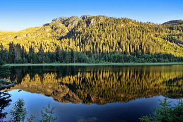 The forest reflects in the lake, Norway, Scandinavia