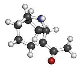 Obraz premium Anatoxin-a (very fast death factor, VFDF) molecule. 3D rendering. Atoms are represented as spheres with conventional color coding.