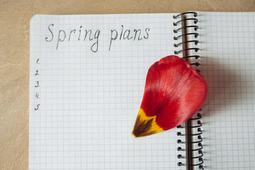 Spring plans