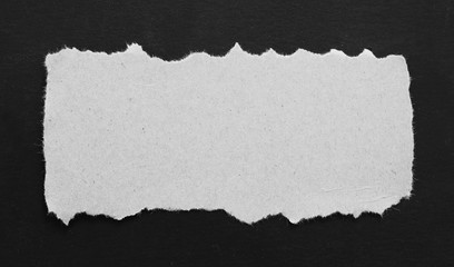 pieces of torn paper texture background, copy space.