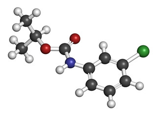 Chlorpropham herbicide molecule. 3D rendering. Atoms are represented as spheres with conventional color coding: hydrogen (white), carbon (grey), oxygen (red), nitrogen (blue), chlorine (green).