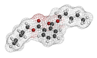 Obraz premium Di-n-pentyl phthalate (DNPP) plasticizer molecule. 3D rendering. Atoms are represented as spheres with conventional color coding: hydrogen (white), carbon (grey), oxygen (red).