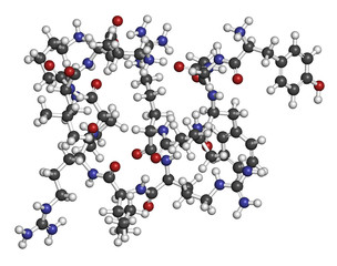 Dynorphin a endogenous opioid peptide molecule. 3D rendering. Atoms are represented as spheres with conventional color coding: hydrogen (white), carbon (grey), oxygen (red), nitrogen (blue).