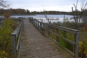 Naklejka premium Nature scene in Autumn at the Westminster ponds conservation area in London, Ontario