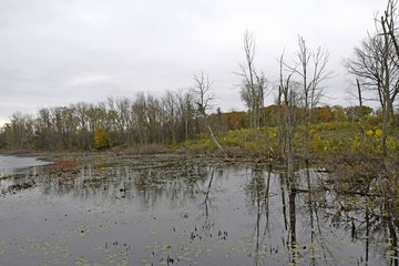 Nature scene in Autumn at the Westminster ponds conservation area in London, Ontario