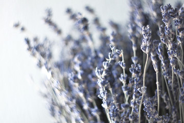 A bouquet of dried lavender