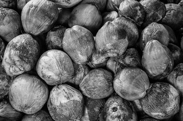 Group of Coconuts,  coconuts for decoration