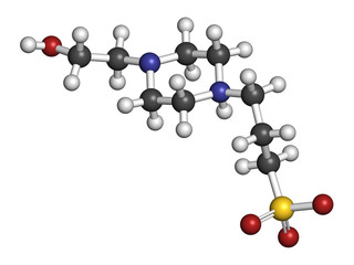 HEPPS buffering agent molecule. 3D rendering. Atoms are represented as spheres with conventional color coding: hydrogen (white), carbon (grey), oxygen (red), nitrogen (blue), sulfur (yellow).