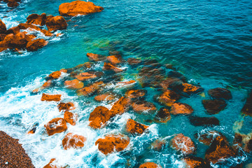 some orange stones on a coast