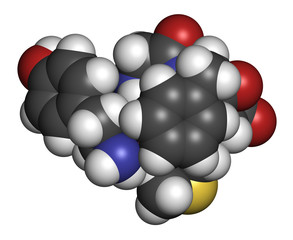 Met-enkephalin endogenous opioid peptide molecule. 3D rendering. Atoms are represented as spheres with conventional color coding.