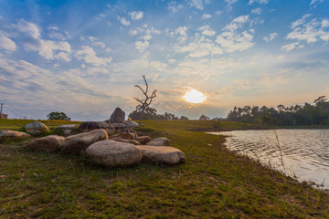 red leaves begin blossom in the spring season at Kao Yai National Park