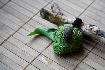 Snail sitting on little tree trunk and go to green broccoli, wooden bamboo backdrop, close-up animal background