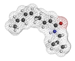 Spilanthol molecule. Local anesthetic present in Acmella oleracea (toothache plant). 3D rendering. Atoms are represented as spheres with conventional color coding.