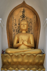 Goldene Buddhastatue in einem Tempel in Sri Lanka