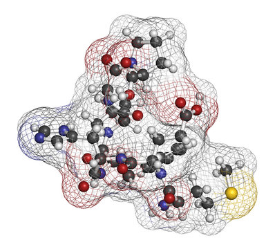 Semax peptide drug molecule. 3D rendering. Atoms are represented as spheres with conventional color coding: hydrogen (white), carbon (grey), nitrogen (blue), oxygen (red), sulfur (yellow).