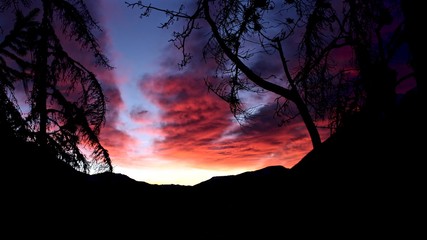 coucher de soleil dans une for&ecirc;t de chamonix mont blanc avec des couleur degrad&eacute;e 