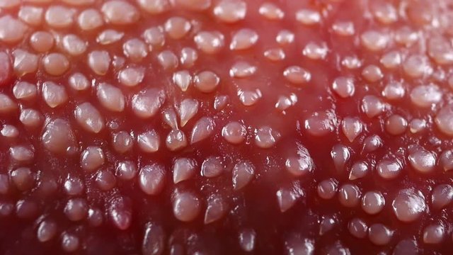 Raw beef pink cow tongue on black background