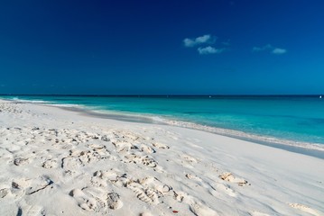 panorama of the Eagle Beach of Aruba Caribbean island with white sand and palm trees in the tropical scenery of the Netherlands Antilles