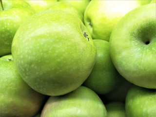 green juicy apples