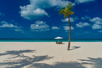 relax on the beach of the Caribbean island of Aruba