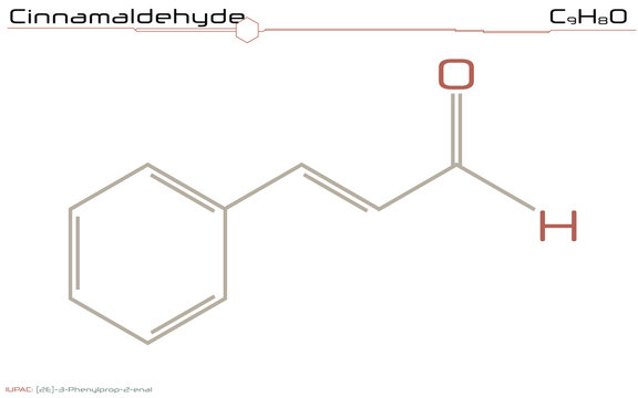 Large and detailed infographic of the molecule of Cinnamaldehyde