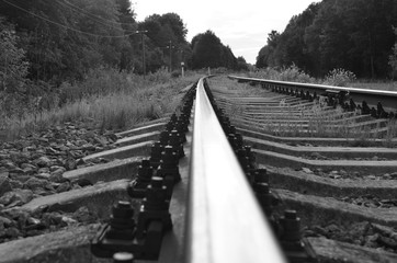 railway forest nature horizon