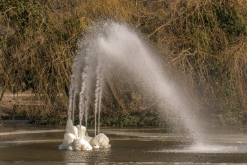 An iced fountain in a park in Frankfurt am Main. Concept: cityscape