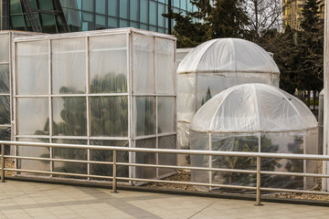 Measures to protect heat-loving plants in winter. Device greenhouses made of polyethylene to protect the cacti from the cold wind. Baku, Azerbaijan