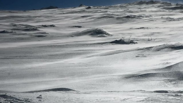 Wind blowing snow particles in the mountain