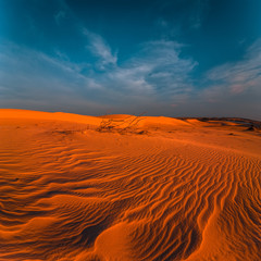 Stunning view of lonely sand dunes