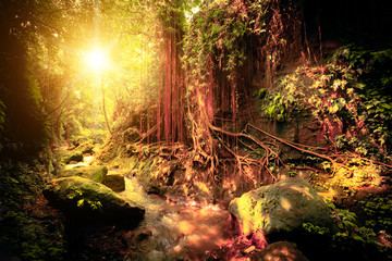 Surreal colors of fantasy tropical forest - obrazy, fototapety, plakaty