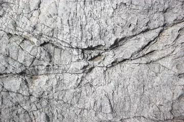 Wanddecoratie Steen Lichtgrijze steentextuur met veel ondiepe en diepe scheuren  © vectorus