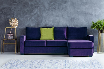 Green and purple living room