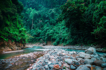 Fantasy landscape with river running among rocky banks covered with dense thicket Mysterious mountainous jungle with trees leaning over fast stream with rapids. North Sumatra, Indonesia.