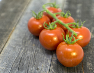 Cherry Tomato on Vine